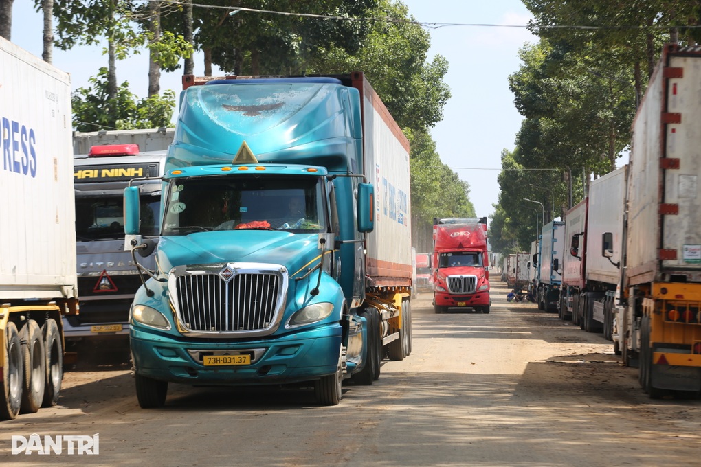Xe container chở sầu riêng không còn xếp hàng chờ kiểm định ở Đồng Nai - 1 Xe container chở sầu riêng không còn xếp hàng chờ kiểm định ở Đồng Nai - 1