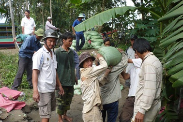 Vỡ đê ngăn lũ, thiệt hại hàng nghìn héc-ta lúa và màu