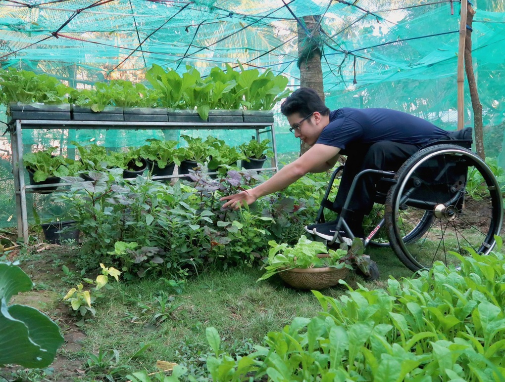Vườn rau trái trĩu quả của chàng trai liệt hai chân ở miền Tây gây Vườn rau trái trĩu quả của chàng trai liệt hai chân ở miền Tây gây