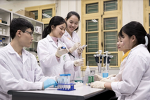 416 đề tài tham gia Giải thưởng Khoa học và Công nghệ dành cho sinh viên