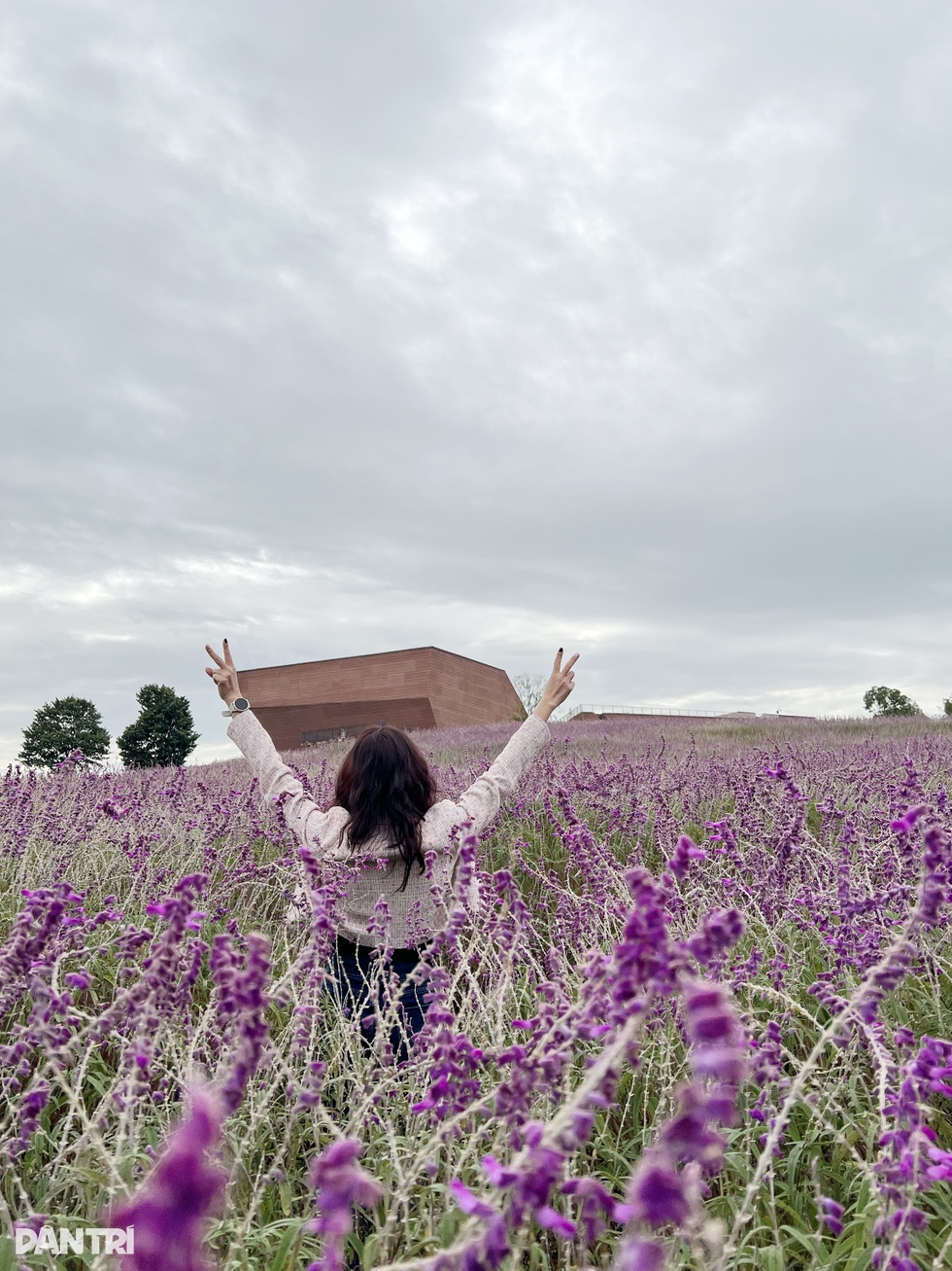 Khách Việt mua tour Trung Quốc: Ngắm cảnh nháo nhào, lùa vào mua sắm - 5 Khách Việt mua tour Trung Quốc: Ngắm cảnh nháo nhào, lùa vào mua sắm - 5