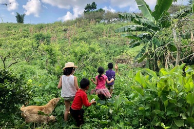 "Mắc kẹt" ở Mộc Châu do Hà Nội giãn cách, gia đình làm vườn đẹp mê
