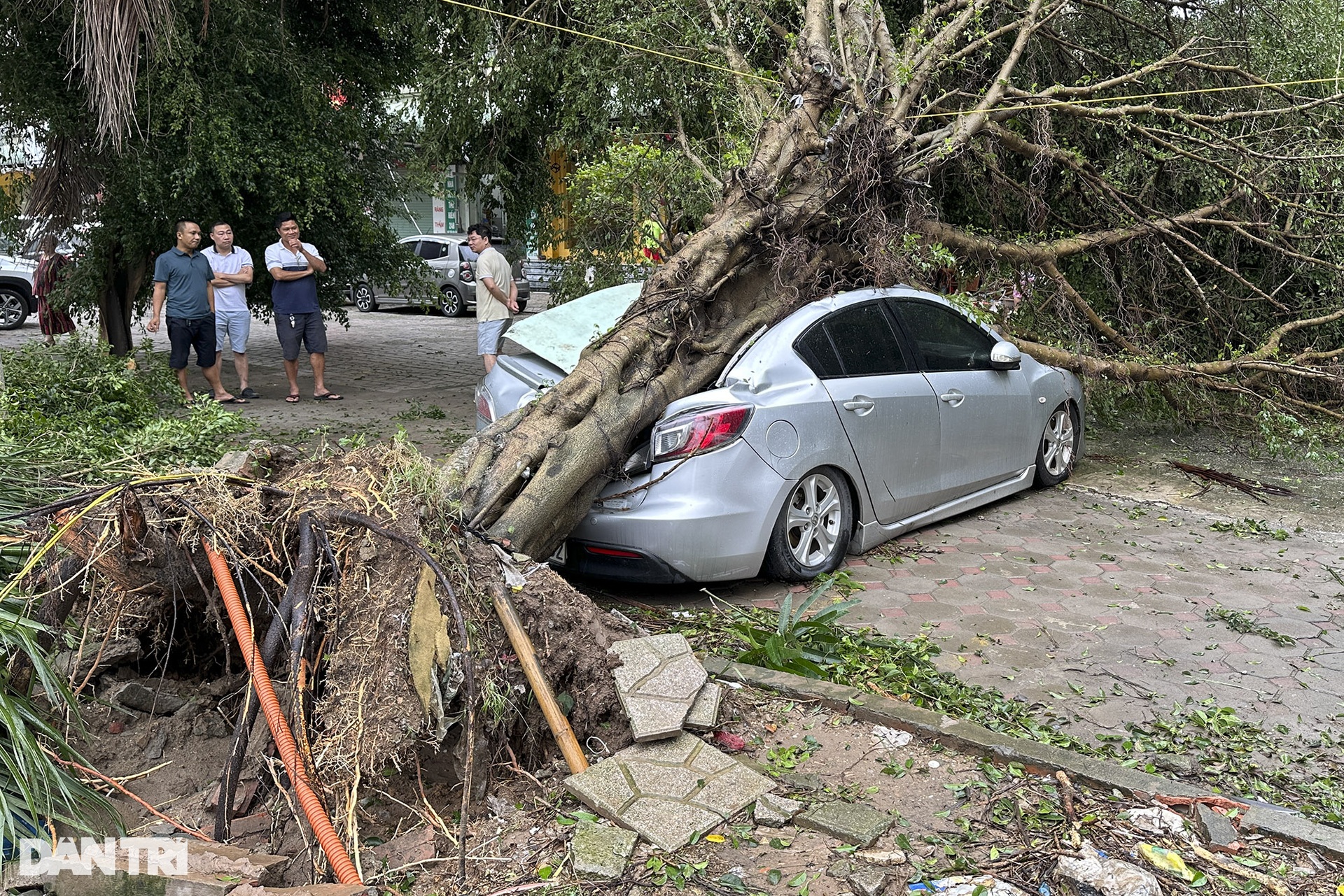 Cây đổ la liệt khắp đường phố Hà Nội - 18