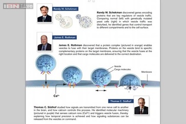 Khám phá giải Nobel y học 2013