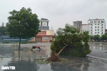 Chính phủ lập Bộ Chỉ huy tiền phương ở Hải Phòng để chống bão Yagi