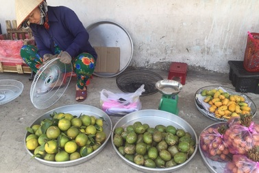 Xoài tí hon Trung Quốc tràn vào Việt Nam