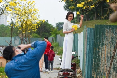 Trèo thang, leo yên xe máy check-in ở đường hoa phong linh "mới cứng"