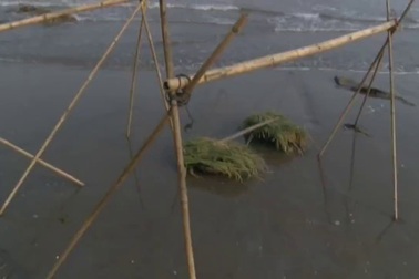 Tình ta biển bạc đồng xanh