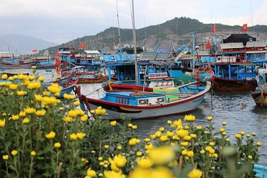 Xuân “đổ bộ” lên hòn đảo 3.000 dân trên Vịnh Nha Trang