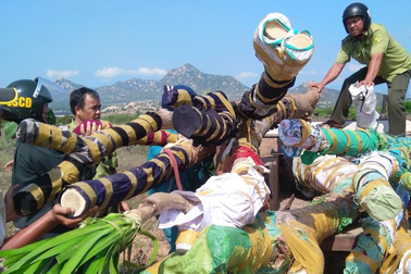 Điều tra nhóm người tấn công nhân viên bảo vệ rừng ở Ninh Thuận