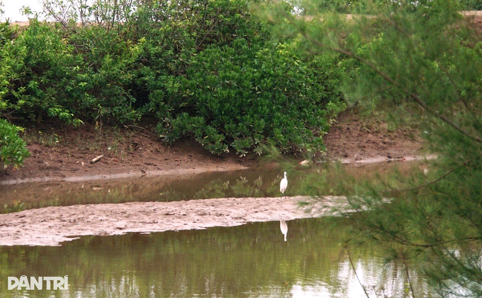 Ngắm khu bảo tồn thiên nhiên có thể bị thu hẹp để xây đô thị, sân golf - 9