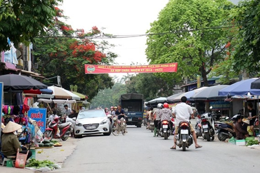 Chủ tịch thị trấn bị đình chỉ vì tòa tuyên phạt cải tạo không giam giữ