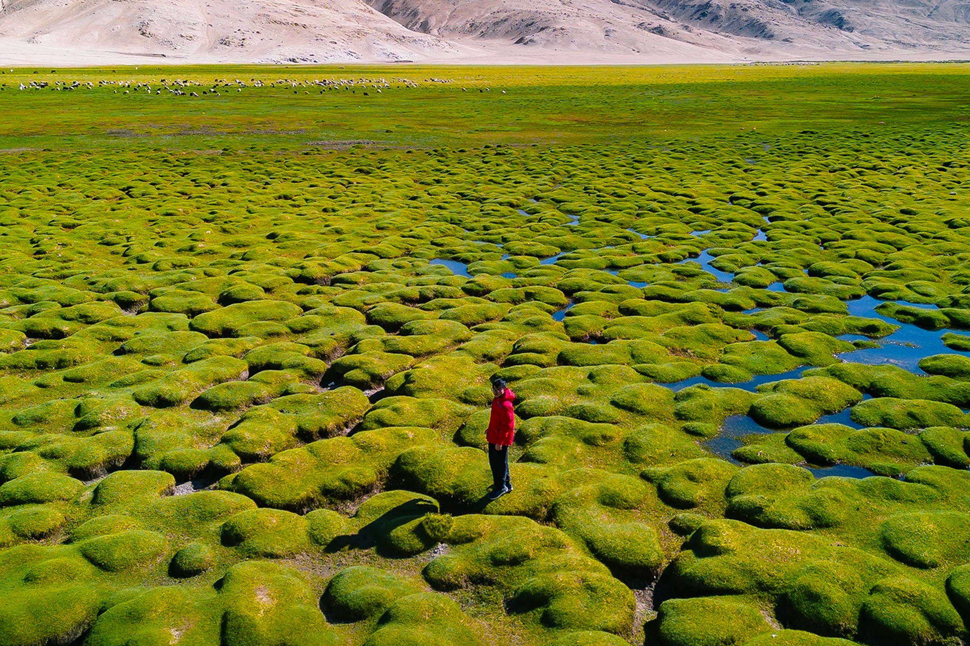 Khách Việt 14 ngày lái mô tô khám phá thiên nhiên siêu thực ở Ladakh Ấn Độ - 8