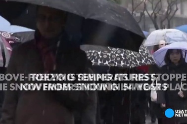 Tokyo bất ngờ đón trận tuyết giữa tháng 11 sau hơn nửa thế kỷ