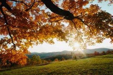 Kenny G - "Going Home"