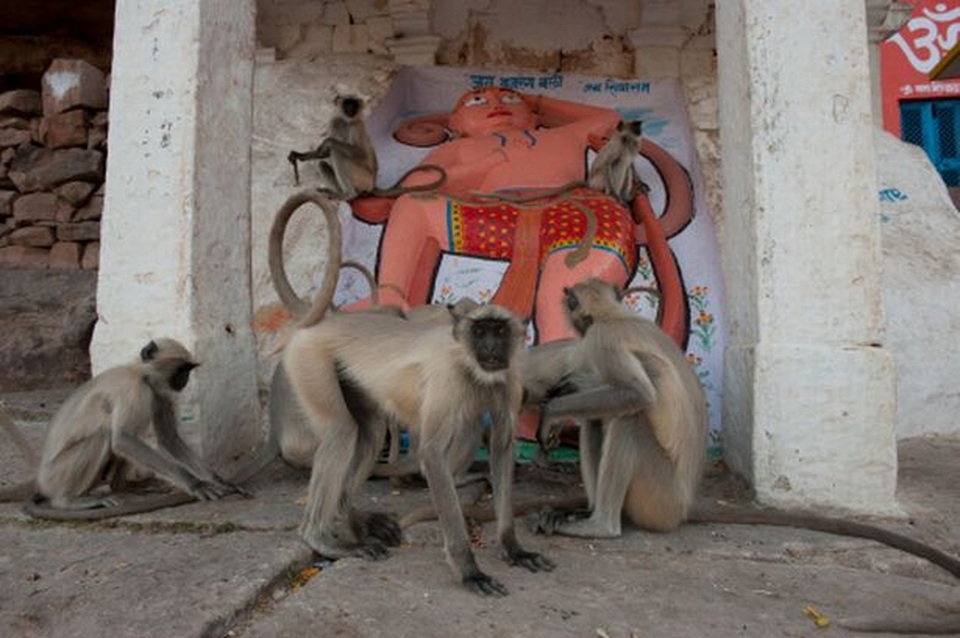 Mọc nhúm lông ở lưng, cậu bé được cả làng tôn kính như thần - 2 Mọc nhúm lông ở lưng, cậu bé được cả làng tôn kính như thần - 2