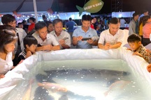 Cá trắm đen được đấu giá lên 65 triệu đồng