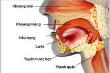 Khoảng 35-75% trong số người bệnh mắc ung thư đầu mặt cổ bị suy dinh dưỡng