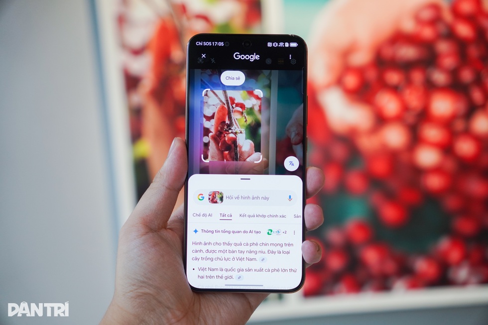 Recension av Honor X9d: Hög hållbarhet, lång batteritid, men begränsad kamera - 16 Đánh giá Honor X9d: Độ bền cao, pin khỏe nhưng camera còn hạn chế - 16