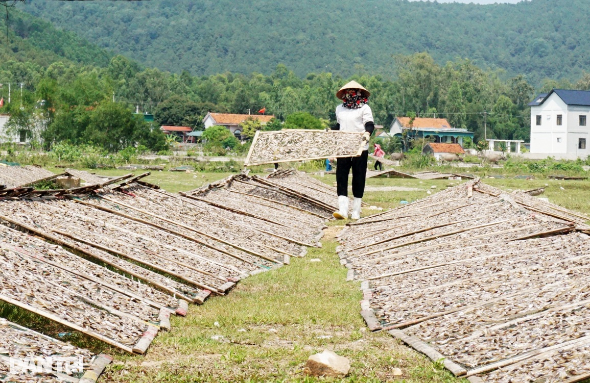 Nửa đêm mang cá đi rải, giữa trưa cầm gậy đập cật lực để lấy tiền - 1 Nửa đêm mang cá đi rải, giữa trưa cầm gậy đập cật lực để lấy tiền - 1