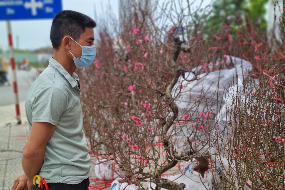Hoa Tết ùn ùn xuống phố, còn ngóng người mua - 4 Hoa Tết ùn ùn xuống phố, còn ngóng người mua - 4