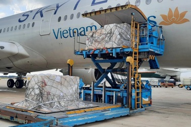 Hơn 200.000 bộ xét nghiệm nhanh Covid-19 chuyển từ Liên bang Đức về TPHCM