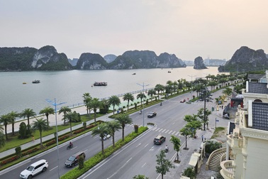 Bộ Công an yêu cầu Quảng Ninh cung cấp tài liệu dự án cây xanh