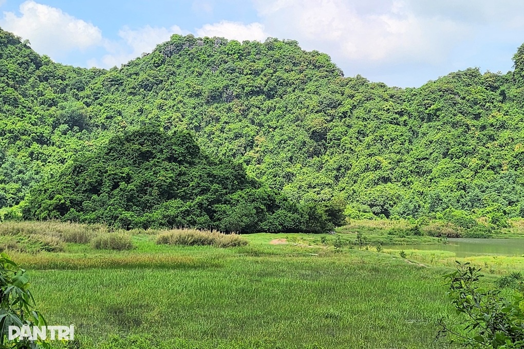 Phát hiện bộ xương nghi là người đàn ông mất tích hơn một năm trước - 2