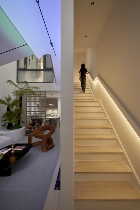 View - Bình Dương: Cô gái chi 3,5 tỷ làm nội thất, dành phòng riêng cho 5 chú mèo | Báo Dân trí