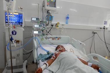 Ba nạn nhân trong một gia đình ở Quảng Ngãi bị ngộ độc nấm đã tử vong