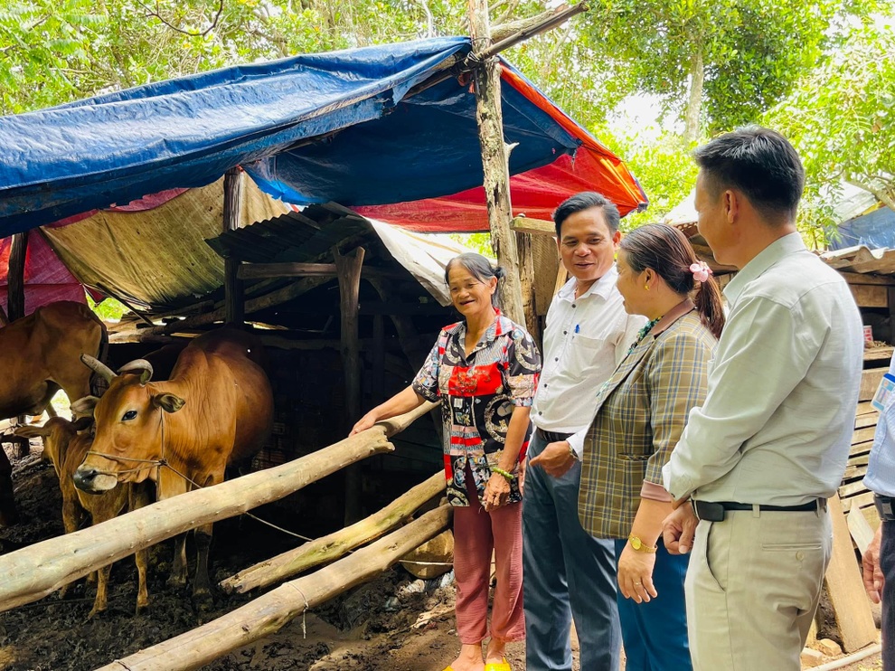 Hỗ trợ sinh kế - đòn bẩy giúp đồng bào Đắk Lắk thoát nghèo bền vững - 1