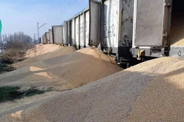 Kiev nổi giận khi người Ba Lan đổ 160 tấn ngũ cốc Ukraine ra biên giới