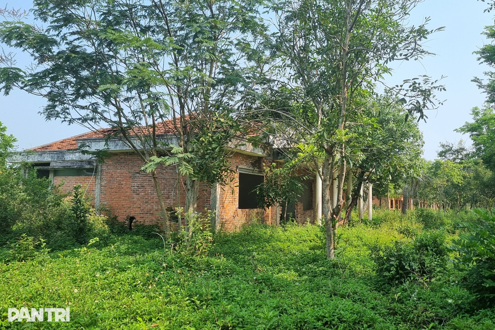 Dự án du lịch 1.800 tỷ đồng ở Quảng Ngãi bị bỏ hoang - 4 Dự án du lịch 1.800 tỷ đồng ở Quảng Ngãi bị bỏ hoang - 4