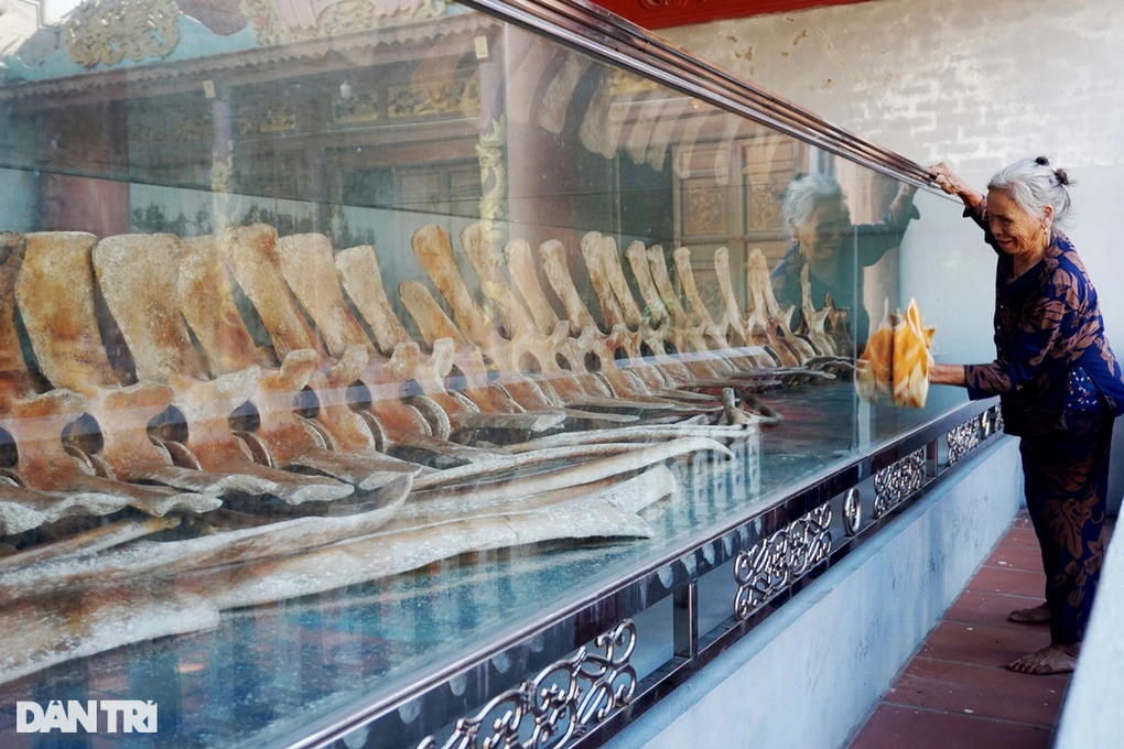 Ngắm báu vật khổng lồ ở làng biển xứ Thanh - 3 Ngắm báu vật khổng lồ ở làng biển xứ Thanh - 3