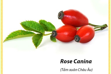 Bài thuốc chữa bé lười ăn đến từ nước Ý