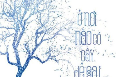 “Ở nơi nào có cây dẻ gai” không chỉ là câu chuyện tình yêu