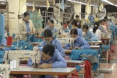 Thừa bằng cấp, thiếu trình độ cao! 