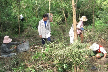 Lại “băm nát” núi tìm “thần dược” xáo tam phân