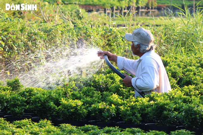 Đồng Tháp: Phấn đấu tăng số lượng và doanh thu hợp tác xã - Ảnh 1.