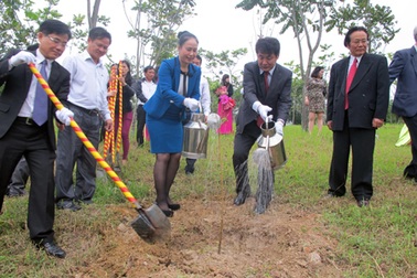 Trồng 20 cây hoa anh đào tại Quảng trường Hồ Chí Minh