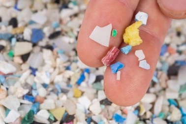 Tìm thấy loại enzyme có thể thay đổi "cuộc chiến rác thải nhựa"