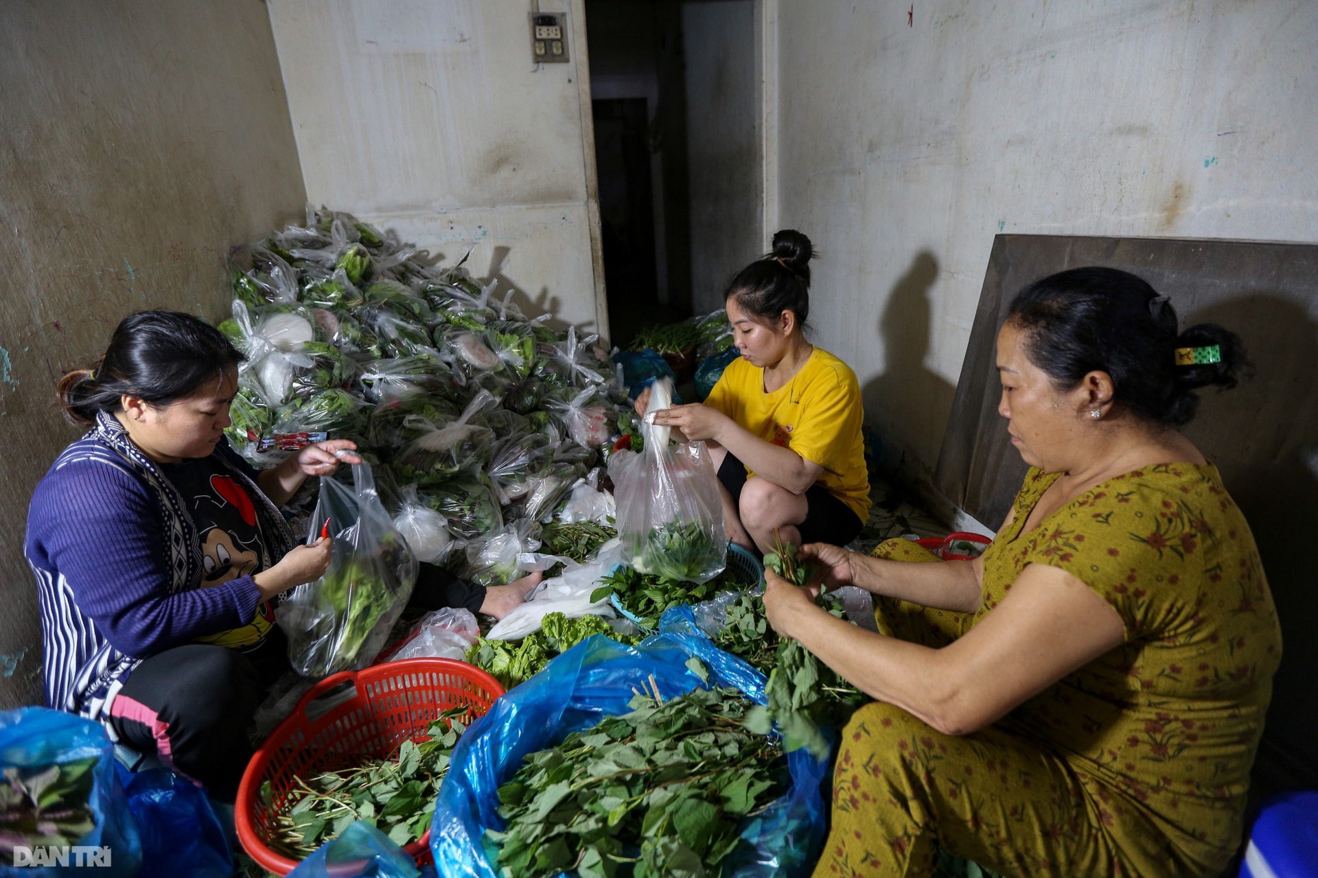 Một gia đình huy động 20 thành viên nướng 5 tấn cá lóc bán dịp vía Thần tài - 11 Một gia đình huy động 20 thành viên nướng 5 tấn cá lóc bán dịp vía Thần tài - 11