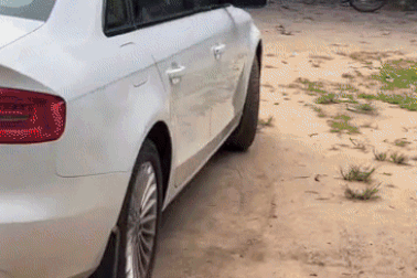 Anh nông dân Ấn Độ lái Audi A4 đi bán rau xôn xao mạng xã hội