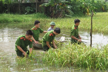 Hà Nam: Nông dân thiệt hại nặng sau trận mưa lũ lịch sử