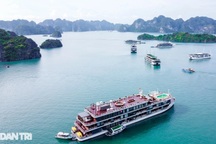 Khách Đài Loan chi 30 triệu đồng đi Hạ Long sau bão: "Tôi không muốn bỏ lỡ"