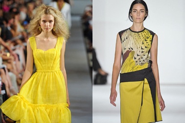 Gọi nắng hè với màu vàng tươi tắn