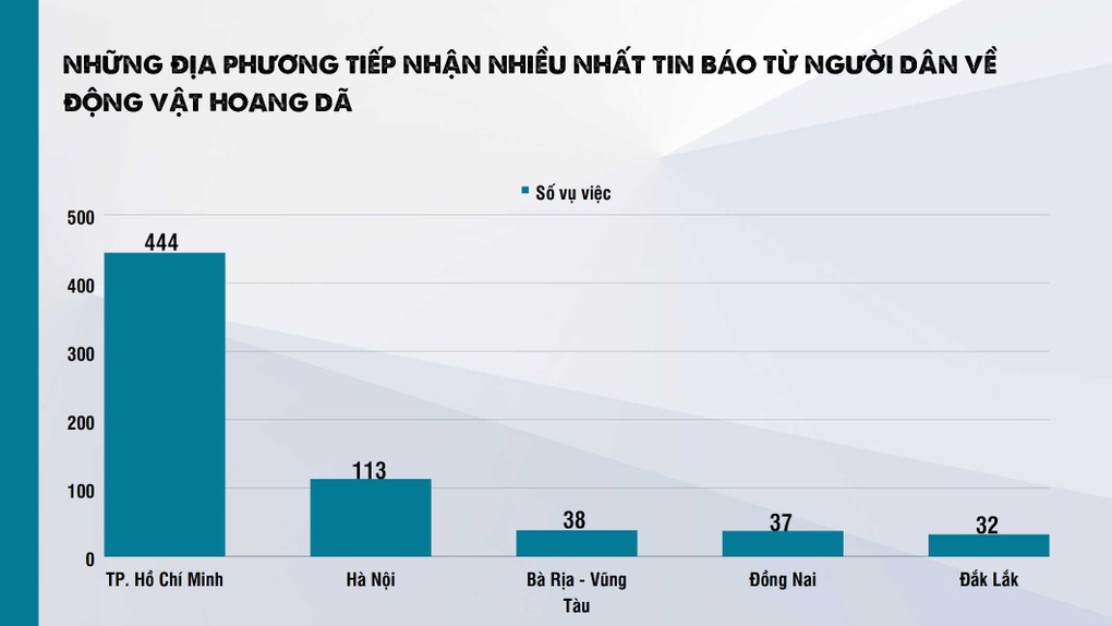 Hơn 80% vụ giải cứu động vật hoang dã ở TPHCM không thành công - 3 Hơn 80% vụ giải cứu động vật hoang dã ở TPHCM không thành công - 3