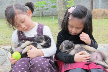 Văn hóa đổ lỗi