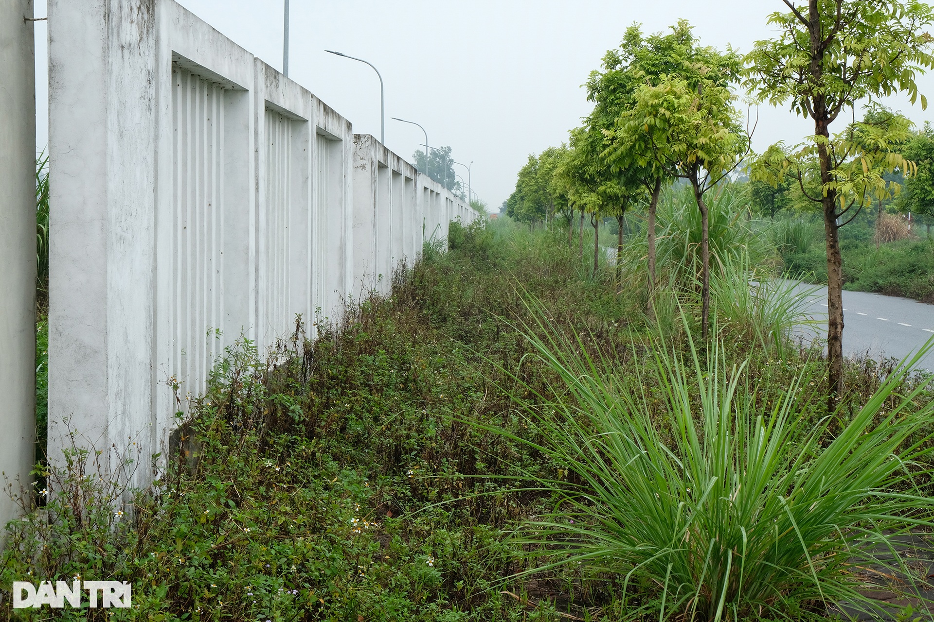 Toàn cảnh 2 bệnh viện Trung ương trị giá nghìn tỷ đồng bỏ hoang ở Hà Nam - 13 Toàn cảnh 2 bệnh viện Trung ương trị giá nghìn tỷ đồng bỏ hoang ở Hà Nam - 13