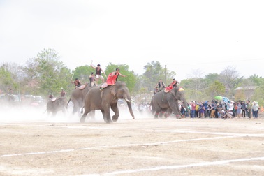 Đắk Lắk: Tưng bừng hội đua voi Buôn Đôn